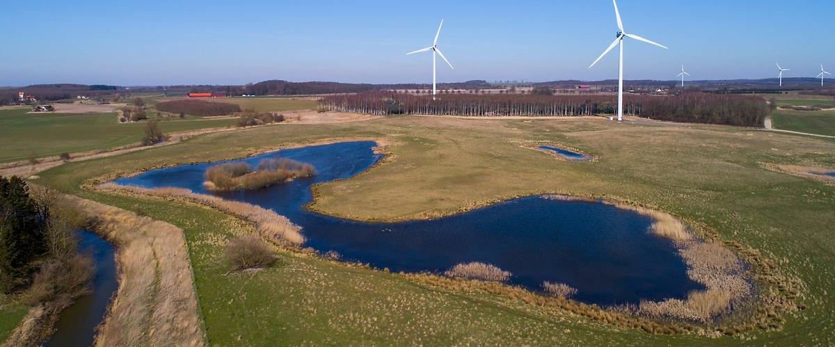 Våtmark med vindkraftverk i bakgrunden