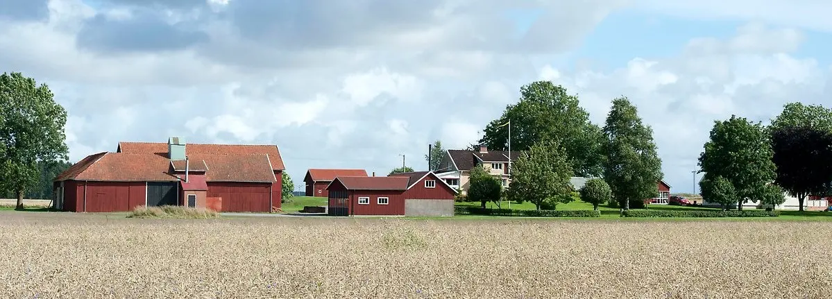 Gårdsvy med spannmål i förgrunden